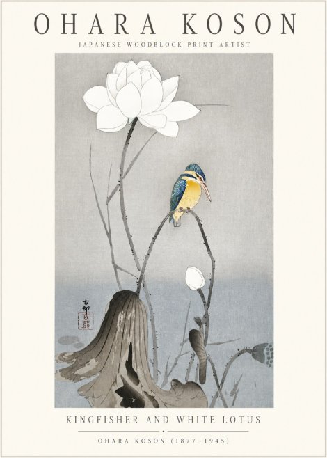 Ohara Koson Kingfisher and White Lotus No1 - Affiche
