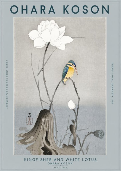 Ohara Koson Kingfisher and White Lotus No2 - Affiche