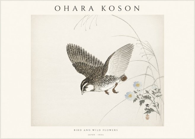 Ohara Koson Bird and Wild Flowers No1 - Affiche