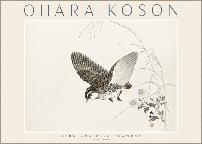 Ohara Koson Bird and Wild Flowers No2 - Affiche