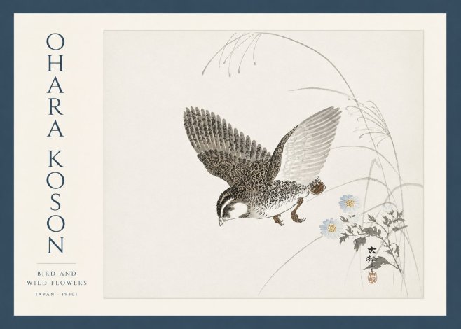 Ohara Koson Bird and Wild Flowers No3 - Affiche