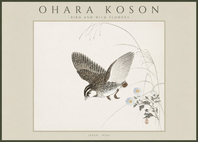 Ohara Koson Bird and Wild Flowers No4 - Affiche