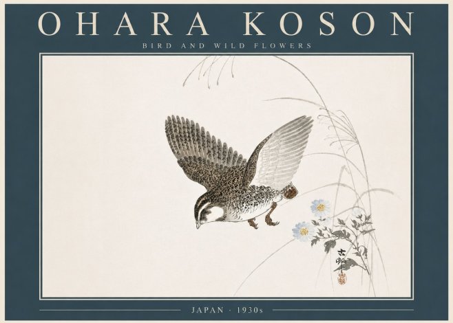 Ohara Koson Bird and Wild Flowers No5 - Affiche