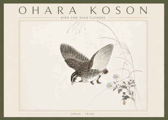 Ohara Koson Bird and Wild Flowers No6 - Affiche