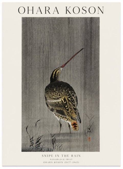 Ohara Koson Snipe in the Rain No1 - Affiche