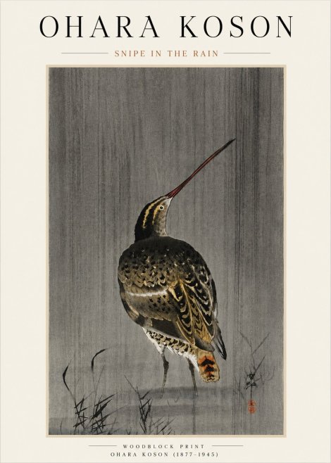 Ohara Koson Snipe in the Rain No4 - Affiche