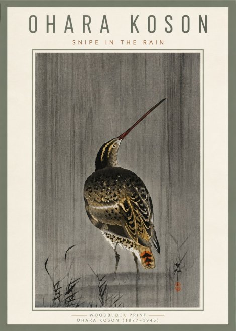 Ohara Koson Snipe in the Rain No6 - Affiche