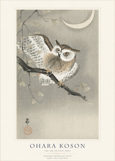 Ohara Koson Owl and Crescent Moon No1 - Affiche