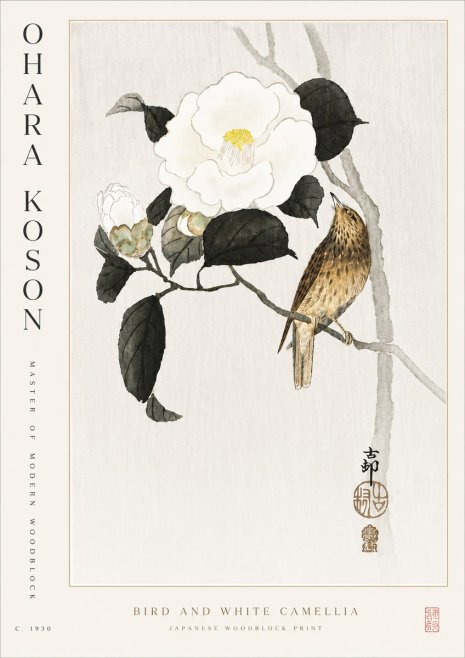 Ohara Koson Bird and White Camellia No5 - Affiche