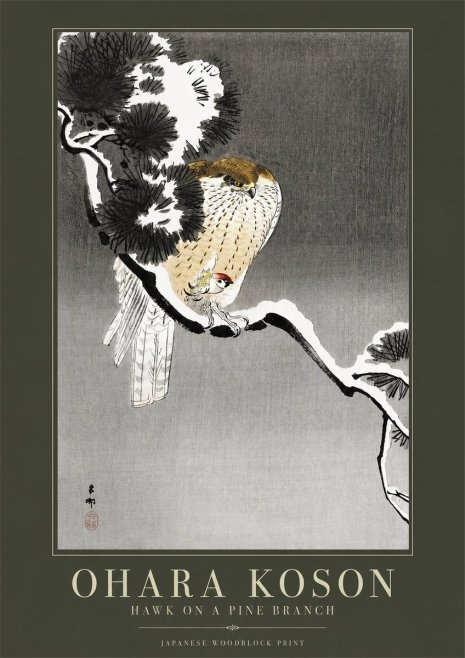 Ohara Koson Hawk on a Pine Branch No2 - Affiche
