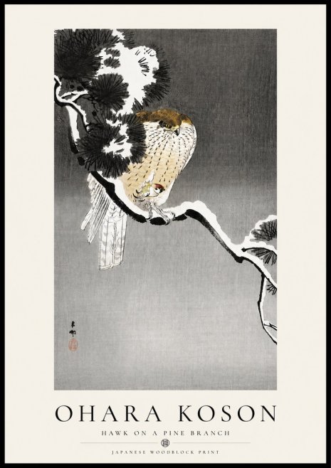 Ohara Koson Hawk on a Pine Branch No4 - Affiche