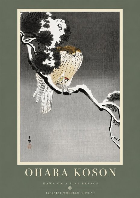 Ohara Koson Hawk on a Pine Branch No5 - Affiche