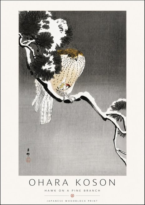 Ohara Koson Hawk on a Pine Branch No6 - Affiche