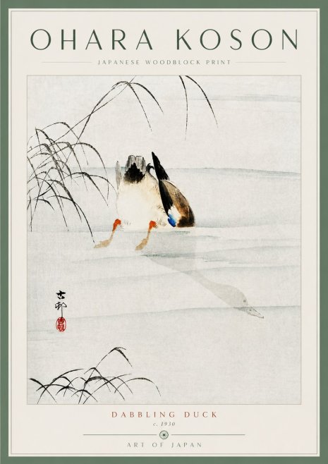 Ohara Koson Dabbling Duck No5 - Affiche