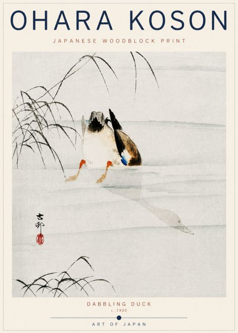 Ohara Koson Dabbling Duck No6 - Affiche