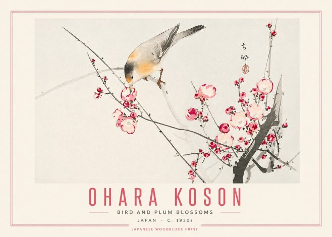 Ohara Koson Bird and Plum Blossoms No5 - Affiche