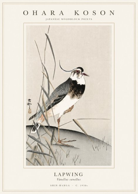 Ohara Koson Lapwing No1 - Affiche