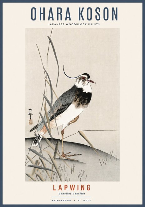 Ohara Koson Lapwing No2 - Affiche
