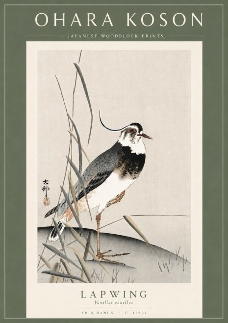 Ohara Koson Lapwing No3 - Affiche