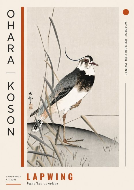 Ohara Koson Lapwing No4 - Affiche