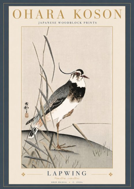 Ohara Koson Lapwing No5 - Affiche