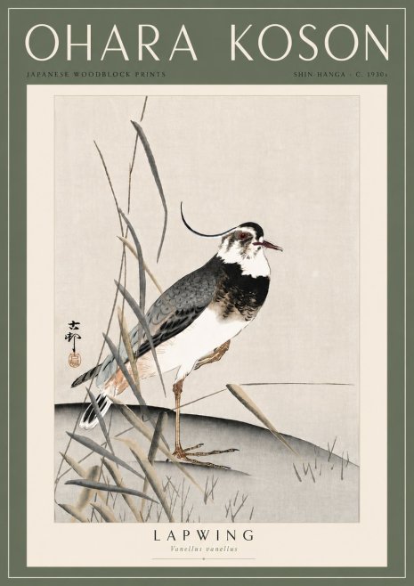 Ohara Koson Lapwing No6 - Affiche