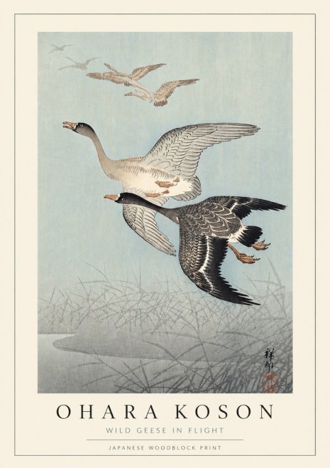 Ohara Koson Wild Geese in Flight II No3 - Affiche