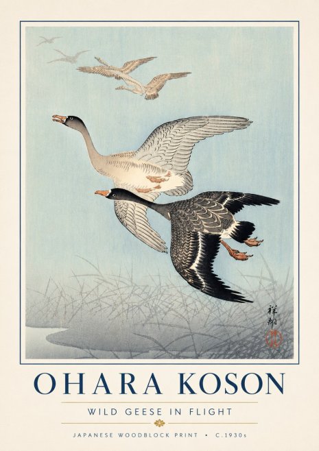 Ohara Koson Wild Geese in Flight II No6 - Affiche