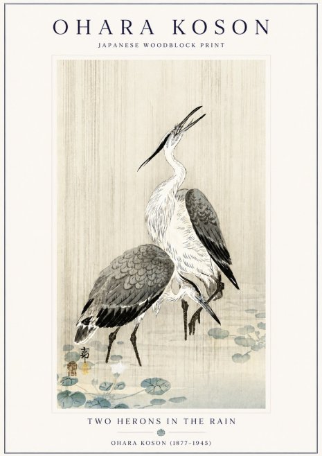 Ohara Koson Two Herons in the Rain No6 - Affiche