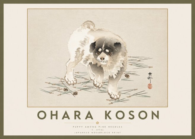 Ohara Koson Puppy Among Pine Needles No2 - Affiche