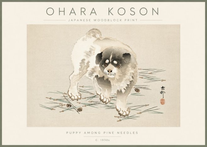 Ohara Koson Puppy Among Pine Needles No3 - Affiche