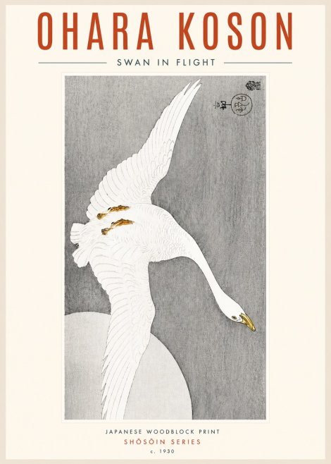 Ohara Koson Swan in Flight No4 - Affiche