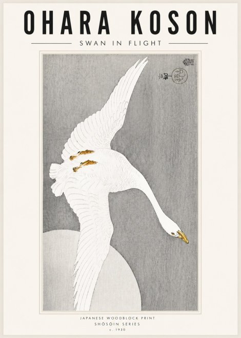 Ohara Koson Swan in Flight No5 - Affiche