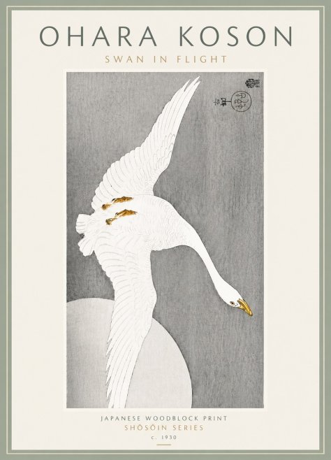Ohara Koson Swan in Flight No6 - Affiche