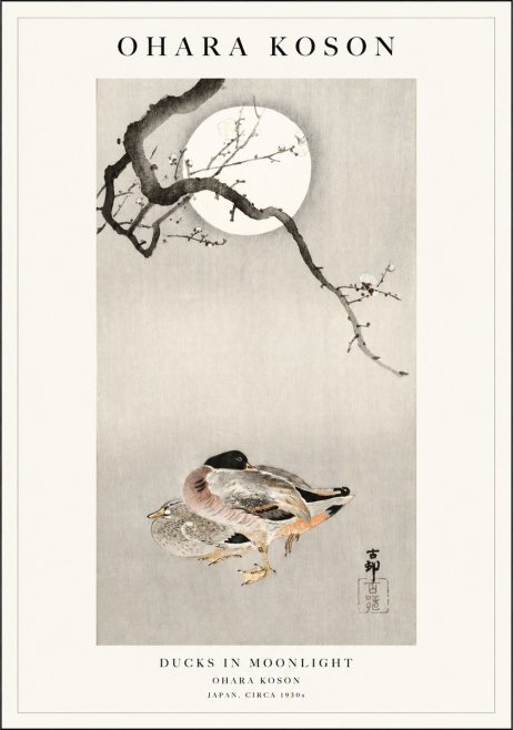 Ohara Koson Ducks in Moonlight No1 - Affiche