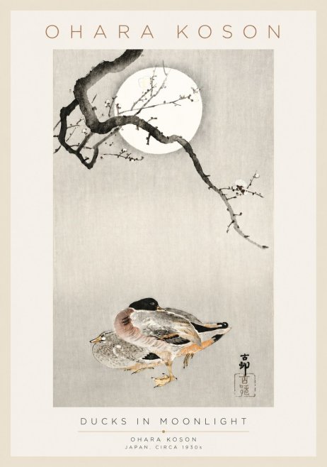 Ohara Koson Ducks in Moonlight No3 - Affiche