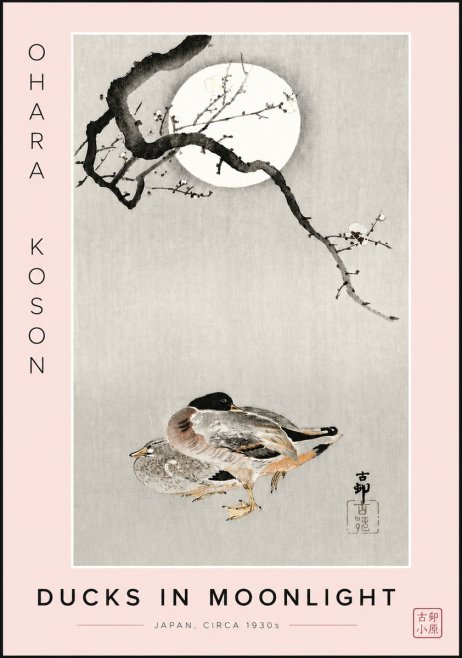 Ohara Koson Ducks in Moonlight No6 - Affiche