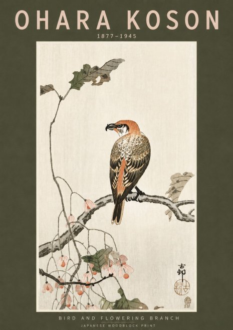Ohara Koson Bird and Flowering Branch No3 - Affiche