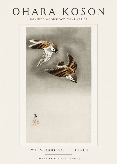 Ohara Koson Two Sparrows in Flight No1 - Affiche