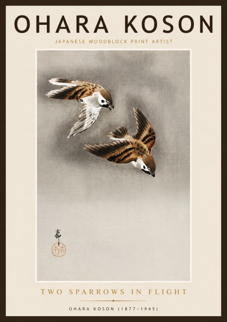 Ohara Koson Two Sparrows in Flight No6 - Affiche