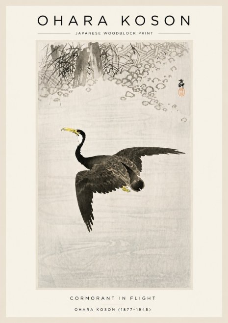 Ohara Koson Cormorant in Flight No3 - Affiche