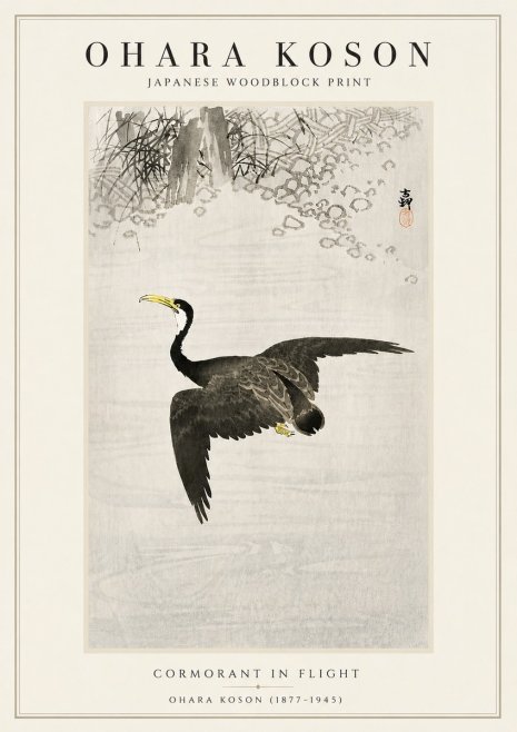 Ohara Koson Cormorant in Flight No5 - Affiche