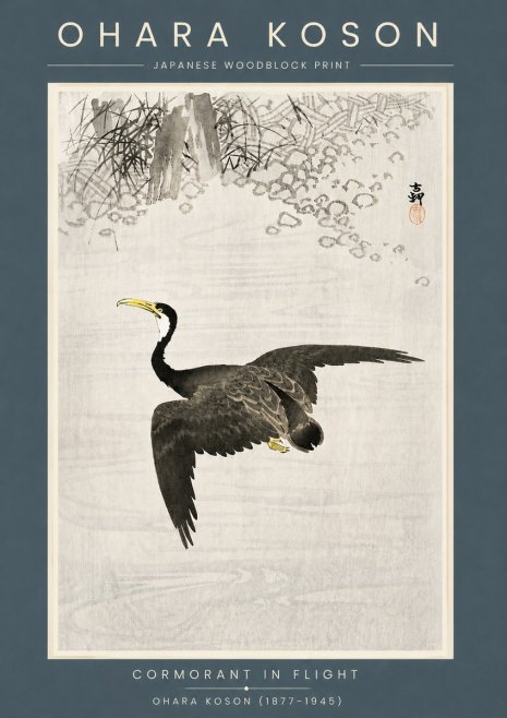 Ohara Koson Cormorant in Flight No6 - Affiche