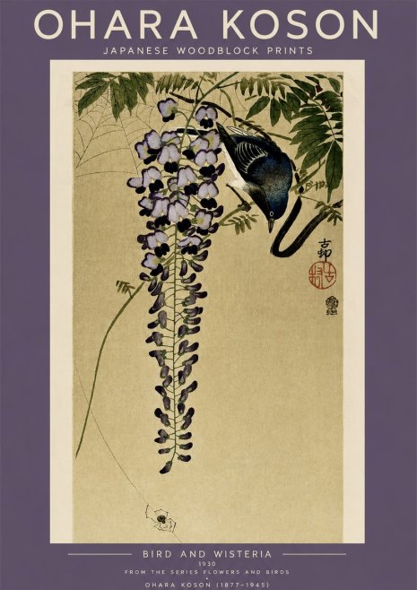 Ohara Koson Bird and Wisteria No4 - Affiche