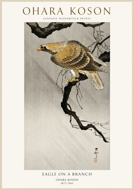 Ohara Koson Eagle on a Branch II No1 - Affiche