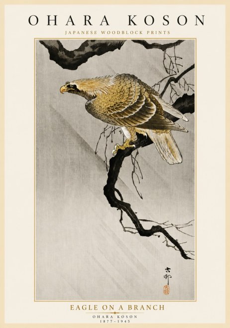 Ohara Koson Eagle on a Branch II No5 - Affiche