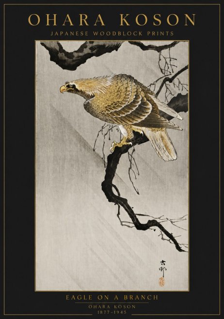 Ohara Koson Eagle on a Branch II No6 - Affiche