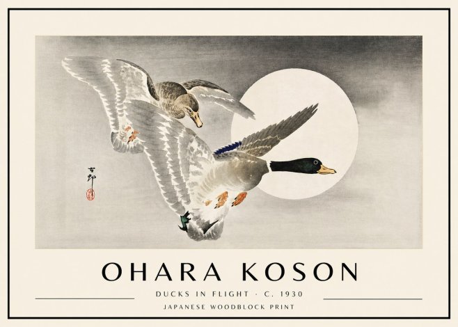 Ohara Koson Ducks in Flight No4 - Affiche