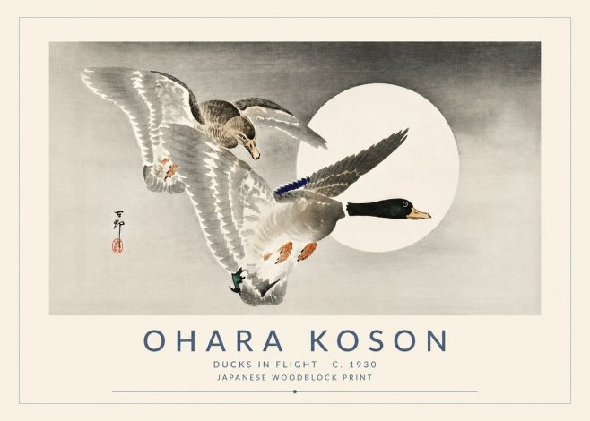 Ohara Koson Ducks in Flight No5 - Affiche