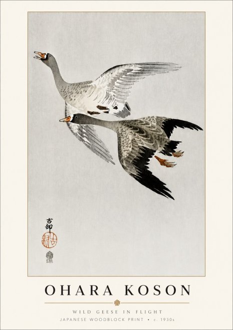 Ohara Koson Wild Geese in Flight III No3 - Affiche